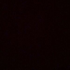 Meet your Posher, Isaac